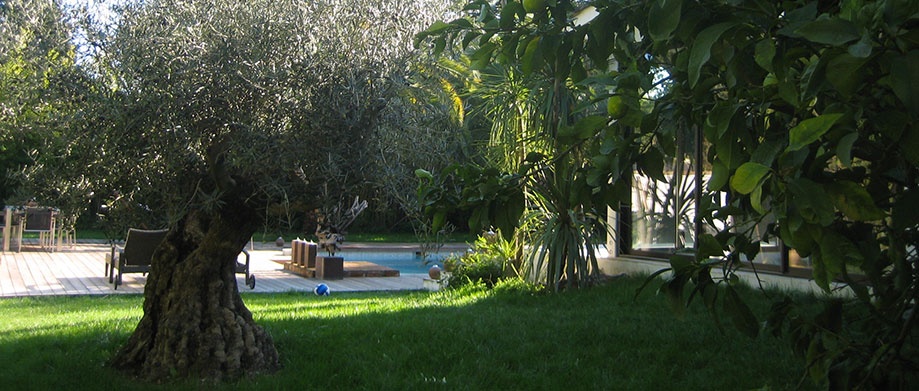 San Diego Saint-Tropez - 4