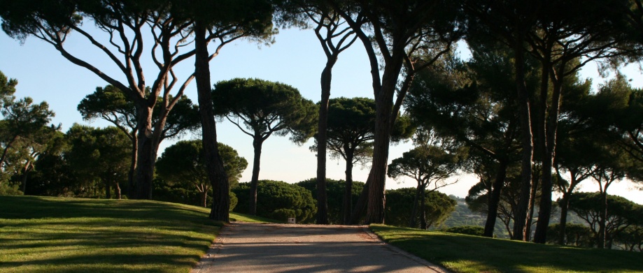 Savana Saint-Tropez - 15