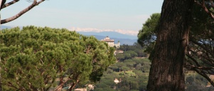 Savana - Saint-Tropez