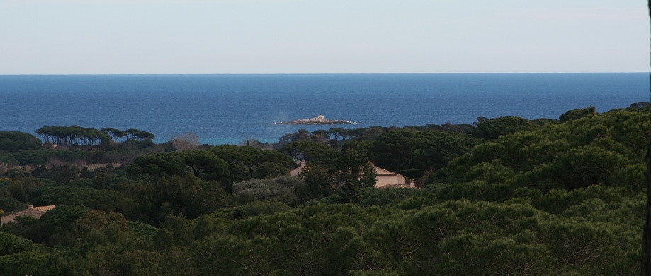 Savana Saint-Tropez - 2