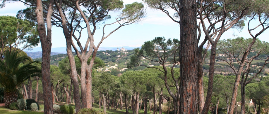 Savana Saint-Tropez - 3