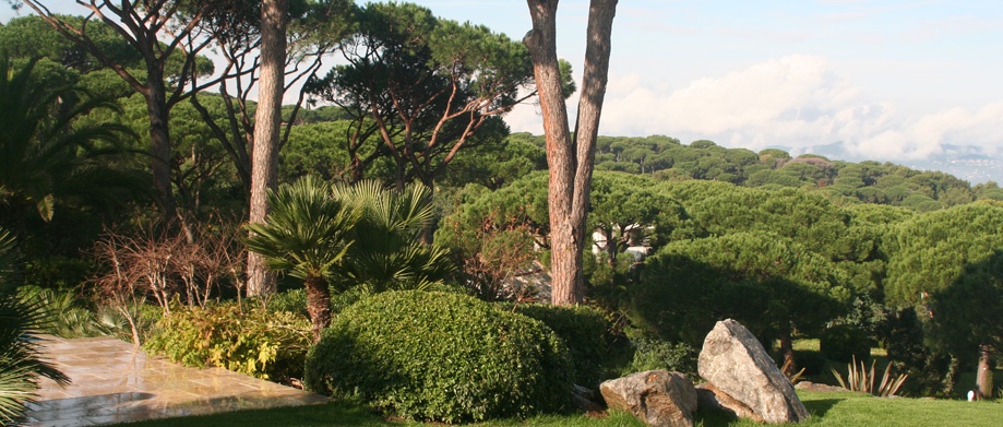 Bayview Saint-Tropez - 9