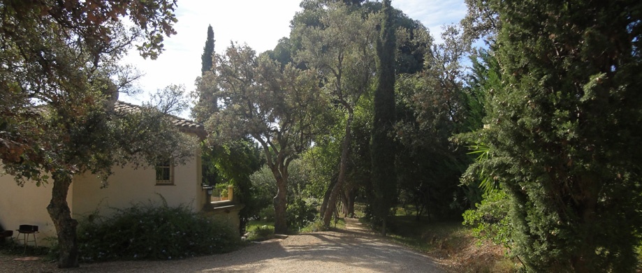 Les Sarrazins La Croix Valmer - 2