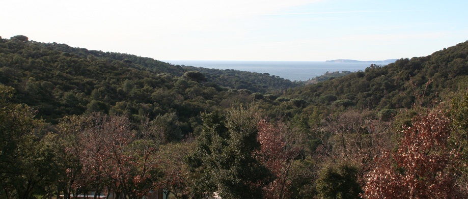 Théatro La Croix Valmer - 10
