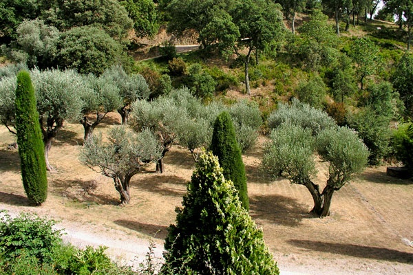 La Forestière La Garde Freinet - 15