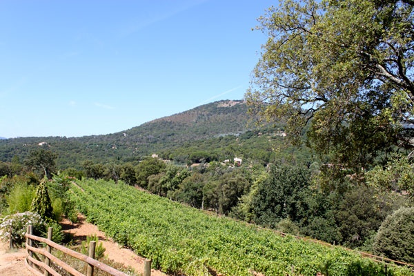 La Forestière La Garde Freinet - 16