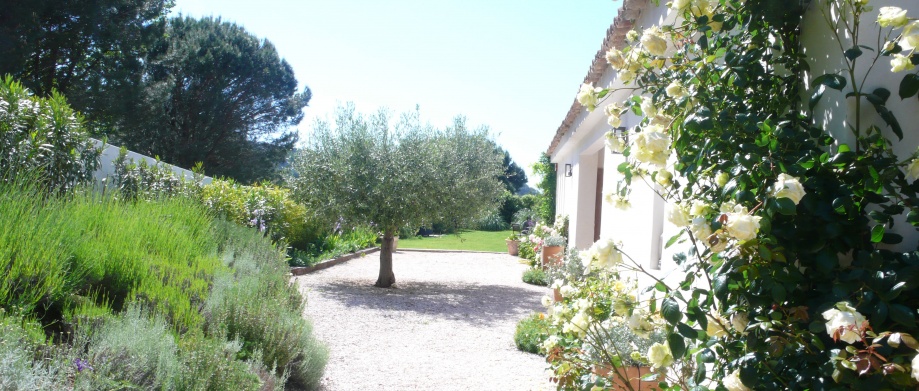 Flora La Garde Freinet - 17